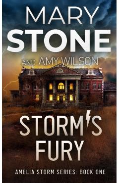 Storm's Fury - Mary Stone