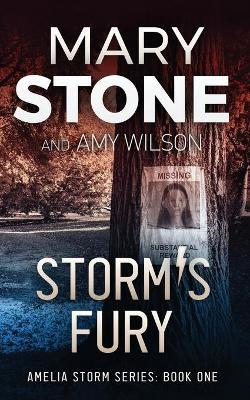 Storm's Fury - Mary Stone
