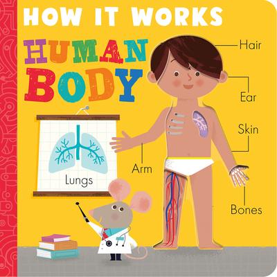 How It Works: Human Body - Amelia Hepworth