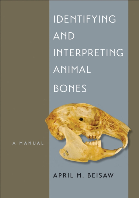 Coperta cărții 'Identifying and Interpreting Animal Bones: A Manual - April M. Beisaw'