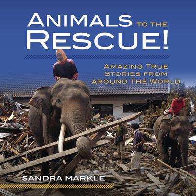 Animals to the Rescue!: Amazing True Stories from Around the World - Sandra Markle