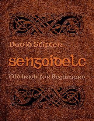 Sengoidelc: Old Irish for Beginners - David Stifter