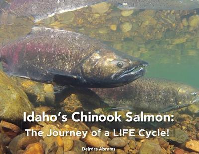 Idaho's Chinook Salmon: The Journey of a LIFE Cycle - Deirdre A. Abrams