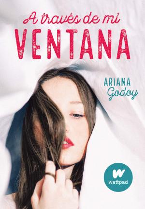 A Trav�s de Mi Ventana / Through My Window - Ariana Godoy