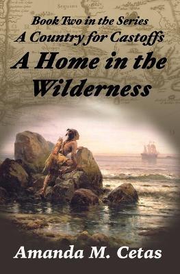 A Home in the Wilderness - Amanda Cetas