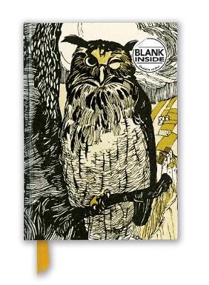 Grimm's Fairy Tales: Winking Owl (Foiled Blank Journal) - Flame Tree Studio