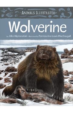 Animals Illustrated: Wolverine - Allen Niptanatiak