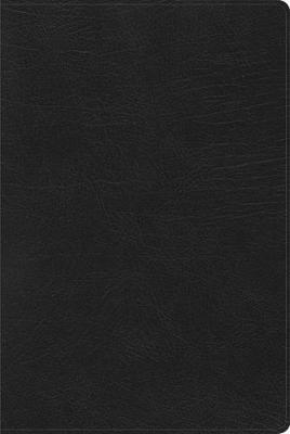 Rvr 1960 Biblia de Estudio Arcoiris, Negro S&#65533;mil Piel - B&h Espa&#65533;ol Editorial
