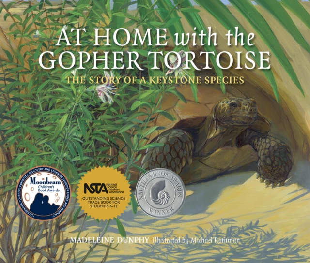 At Home with the Gopher Tortoise: The Story of a Keystone Species - Madeleine Dunphy