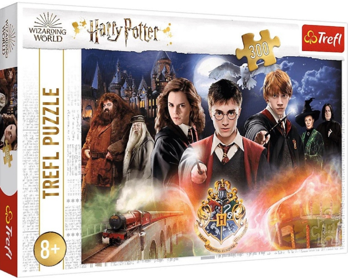 Puzzle 300. Secretul lui Harry Potter