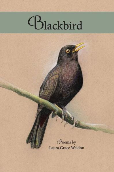 Blackbird: poems - Laura Weldon