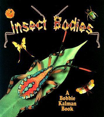 Insect Bodies - Molly Aloian