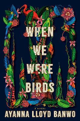 When We Were Birds - Ayanna Lloyd Banwo