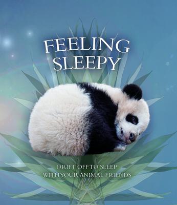 Feeling Sleepy: Drift Off to Sleep with Your Animal Friends - Andrea Pinnington