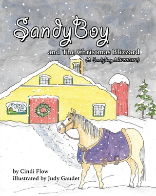 SandyBoy and the Christmas Blizzard (A SandyBoy Adventure) - Cindi Flow
