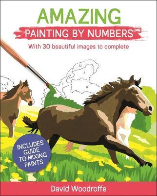 Amazing Painting by Numbers: With 30 Beautiful Images to Complete. Includes Guide to Mixing Paints - David Woodroffe