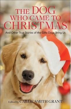 The Dog Who Came to Christmas: And Other True Stories of the Gifts Dogs Bring Us - Callie Smith Grant