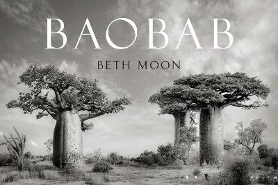 Baobab - Beth Moon