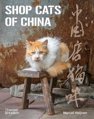 Shop Cats of China - Marcel Heijnen