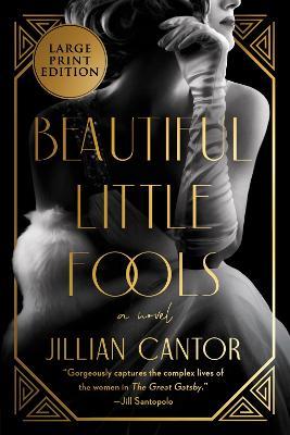 Beautiful Little Fools - Jillian Cantor