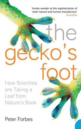 The Gecko's Foot - Peter Forbes