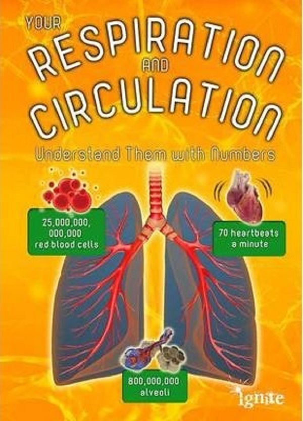 Your Respiration and Circulation PDF Autor Melanie Waldron MsBook.ro