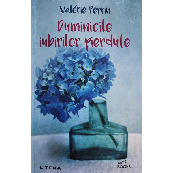 Duminicile iubirilor pierdute - Valerie Perrin