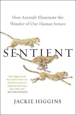 Sentient: How Animals Illuminate the Wonder of Our Human Senses - Jackie Higgins