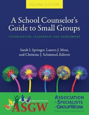 A School Counselor's Guide to Small Groups: Coordination, Leadership, and Assessment - Sarah I. Springer