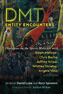 Dmt Entity Encounters: Dialogues on the Spirit Molecule with Ralph Metzner, Chris Bache, Jeffrey Kripal, Whitley Strieber, Angela Voss, and O - David Luke
