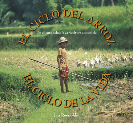 El Ciclo del Arroz, El Ciclo de la Vida: Un Cuento Sobre La Agricultura Sostenible (Cycle of Rice, Cycle of Life: A Story of Sustainable Farming) - Jan Reynolds