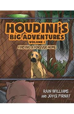 Houdini's Big Adventures: Finding a Forever Home - Rain Williams