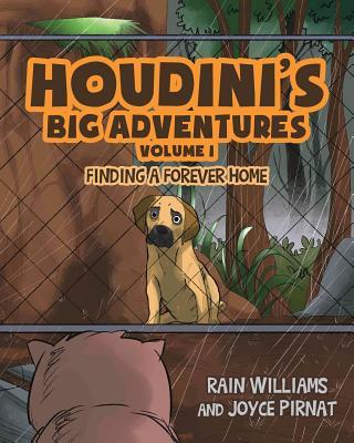 Houdini's Big Adventures: Finding a Forever Home - Rain Williams