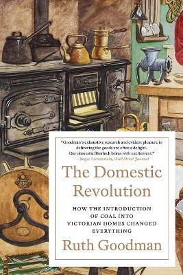 The Domestic Revolution: How the Introduction of Coal Into Victorian Homes Changed Everything - Ruth Goodman