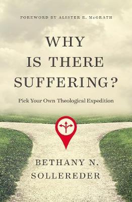 Why Is There Suffering?: Pick Your Own Theological Expedition - Bethany N. Sollereder