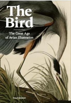 The Bird: The Great Age of Avian Illustration - Philip Kennedy