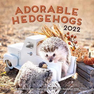 Adorable Hedgehogs 2022: 16-Month Calendar - September 2021 Through December 2022 - Editors Of Rock Point