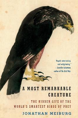 A Most Remarkable Creature: The Hidden Life of the World's Smartest Birds of Prey - Jonathan Meiburg