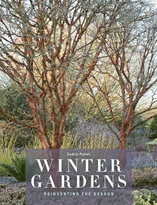 Winter Gardens: Reinventing the Season - Cedric Pollet