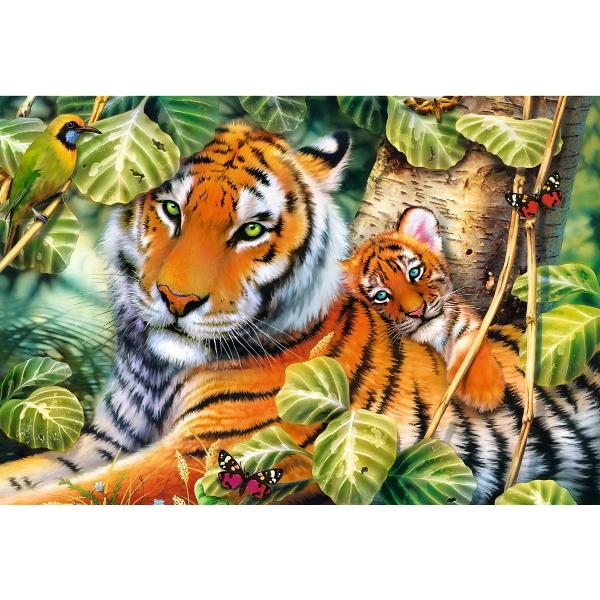 Puzzle 1500. Tigri bengalezi in padurea tropicala