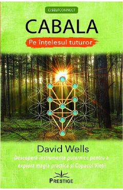 Poza produsului Cabala pe intelesul tuturor - David Wells