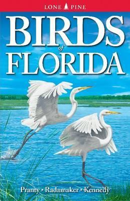Birds of Florida - Bill Pranty