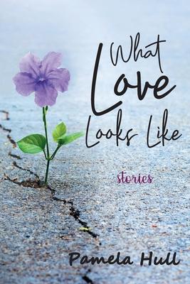 What Love Looks Like - Pamela Hull