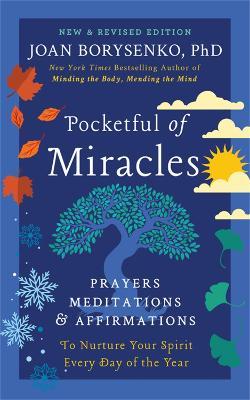Pocketful of Miracles: Prayers, Meditations, and Affirmations to Nurture Your Spirit Every Day of the Year - Joan Borysenko