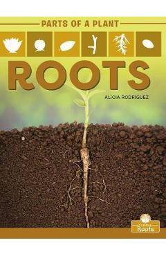 Coperta cărții 'Roots - Alicia Rodriguez'