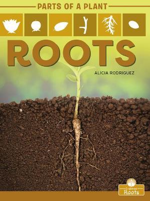 Coperta cărții 'Roots - Alicia Rodriguez'