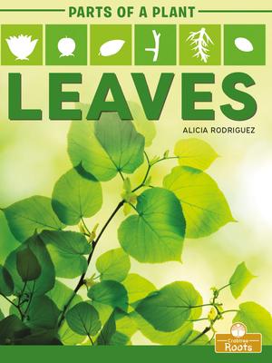Leaves - Alicia Rodriguez