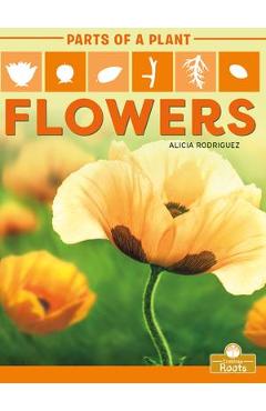 Coperta cărții 'Flowers - Alicia Rodriguez'