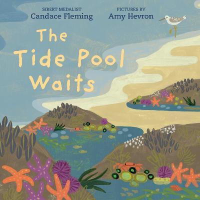 The Tide Pool Waits - Candace Fleming
