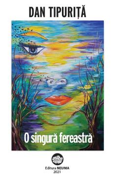 Coperta cărții 'O singură fereastră - Dan Țipuriță'